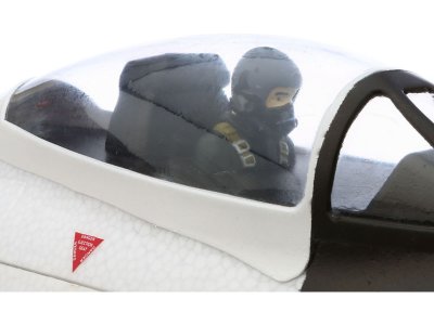 Fury 15 DF Bind & Fly Basic