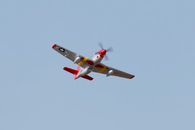 P-51D Mustang "Red Tail" V8 - ARF