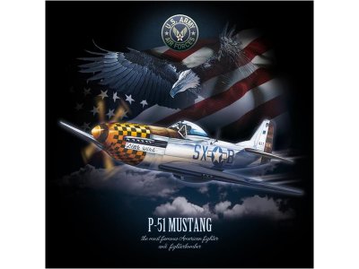 Antonio pánské tričko P-51 Mustang S