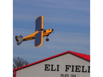 Hangar 9 Carbon Cub 2.3m ARF