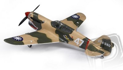 P-40 Warhawk (Baby WB) ARF