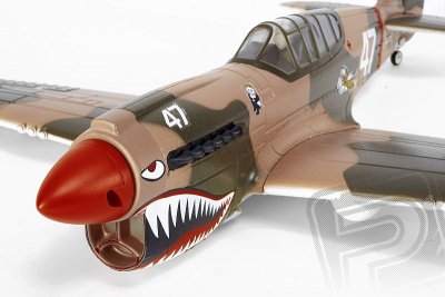 P-40 Warhawk (Baby WB) ARF