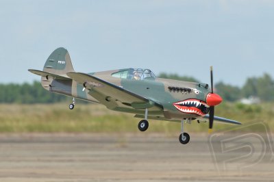 BH161 P-40 Tomahawk 2275mm ARF