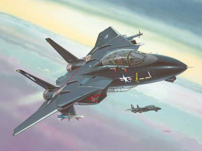 Revell 04029 F-14 A Tomcat