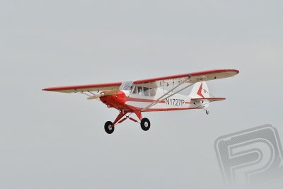 BH172 PIPER PA-18 SUPER CUB 3580mm ARF