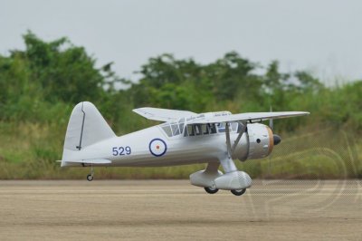 PH169 Westland Lysander 3200mm ARF