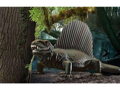 Revell dinosaurus Dimetrodon 1:13 giftset