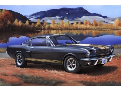 Revell Shelby Mustang GT 350 (1:24) sada