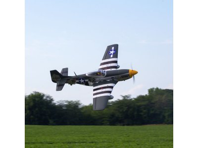 Hangar 9 P-51D Mustang 1.8m ARF