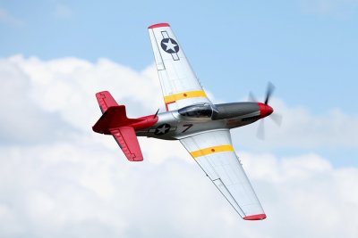 Giant P-51D Mustang EPP 1700mm