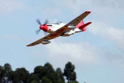 Giant P-51D Mustang EPP 1700mm