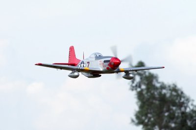 Giant P-51D Mustang EPP 1700mm