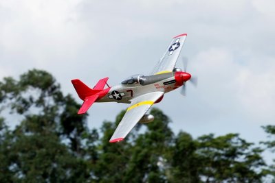 Giant P-51D Mustang EPP 1700mm