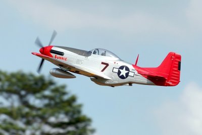 Giant P-51D Mustang EPP 1700mm