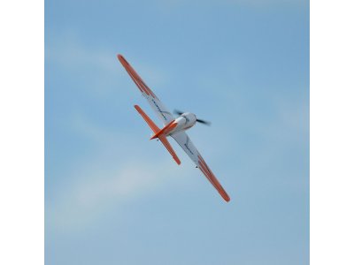 RC model letadla E-flite V900 0.9m SAFE Select BNF Basic