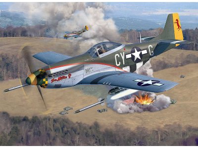 Revell 03838 P-51 D Mustang 1/