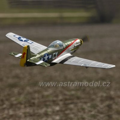 P-51D Mustang Gunfighter 1.0m ARF
