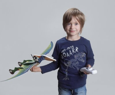 Vector Pteranodon, zelený