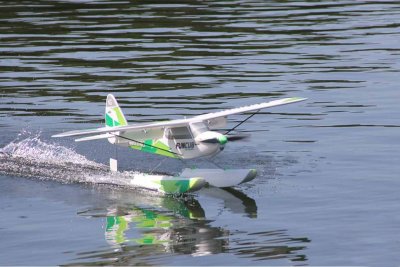 1-01333 RR FUNCUB NG green