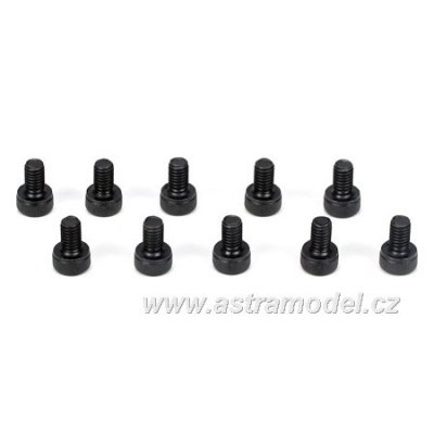 TLR šroub ocel válcová hlava M3x5mm (10)