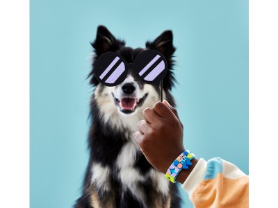 LEGO DOTs - Náramek – moji domácí mazlíčci